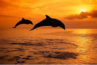 《Code Violet》女主角模型图 漂亮性感诱惑